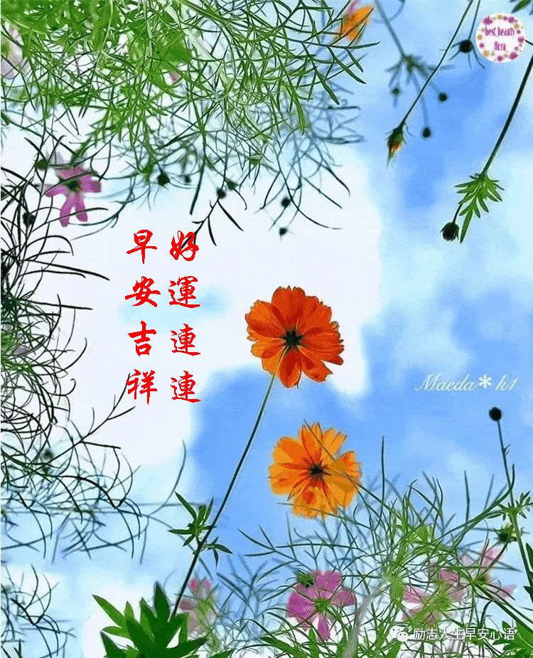【早安馨语】新的一天,祝朋友们生活愉快!心情舒畅!身体健康!