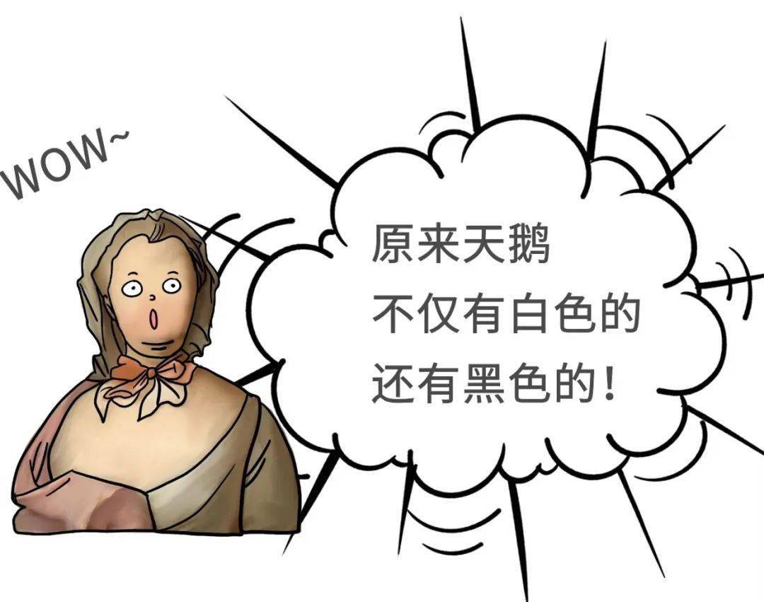 警惕“黑天鹅”，防范“灰犀牛”_搜狐网