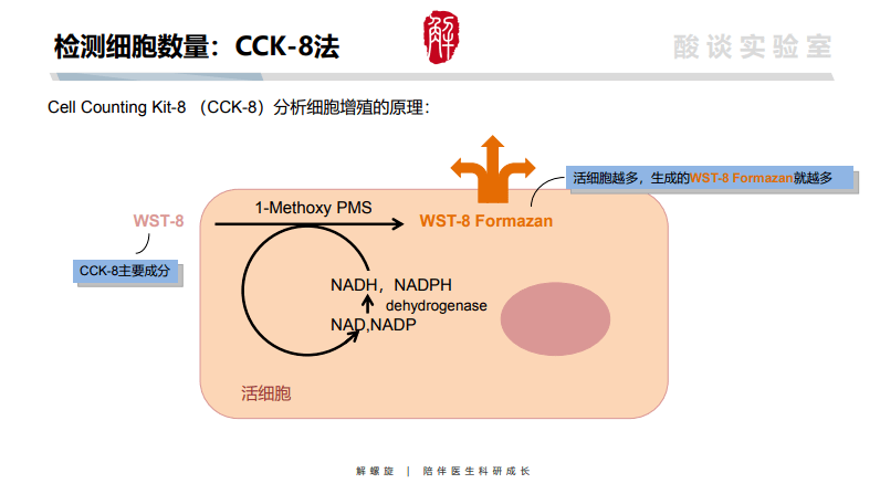 2brdu掺入法3平板克隆.