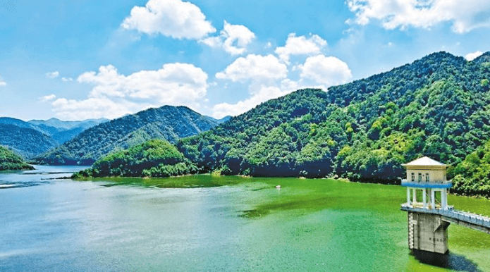 守护大美秦岭让绿水青山永续