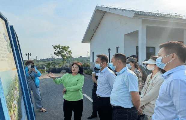 含山县副县长汪媛霞,县文旅体局局长周昌英陪同.