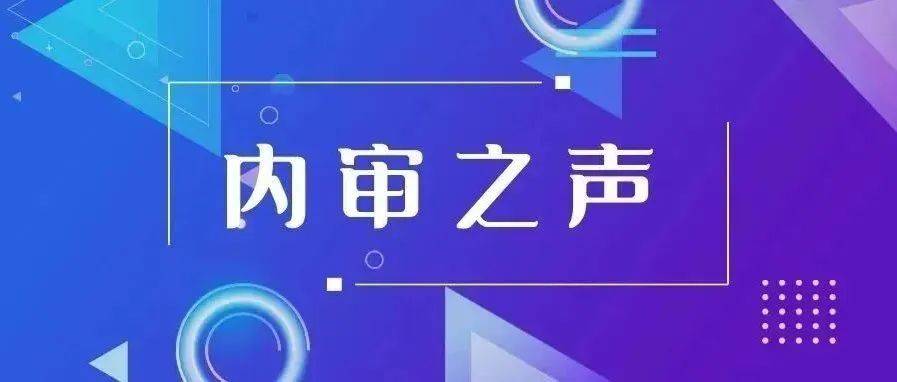 如何优化内部审计职能_内审_企业_工作