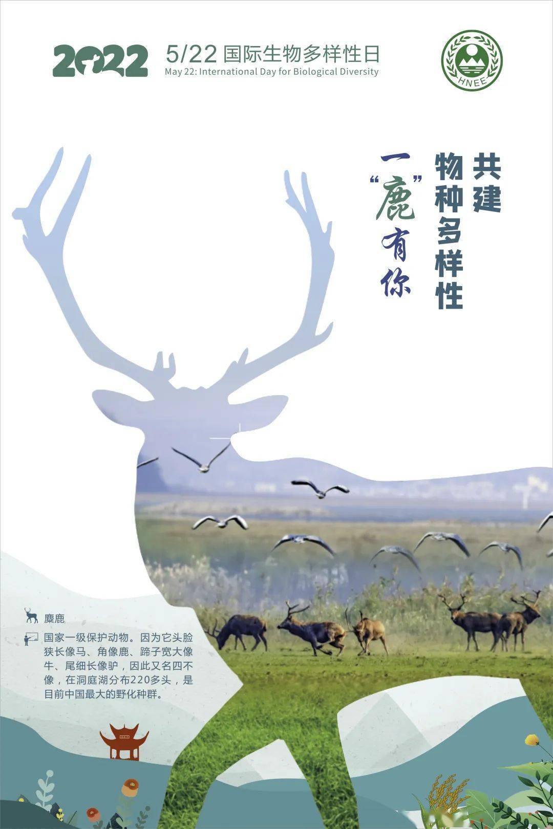 522国际生物多样性日湖南主题海报展物种篇