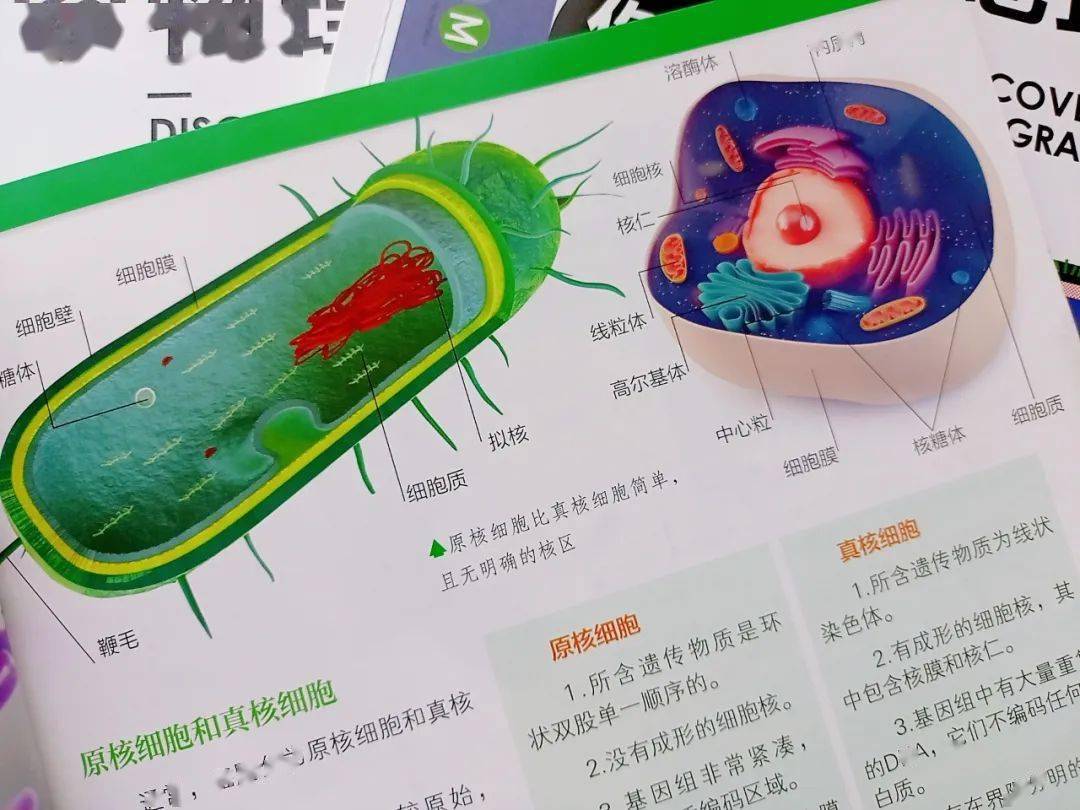 这套硬核的stem教育课本 一次性搞定孩子理化地生四门课 科学 知识 静电