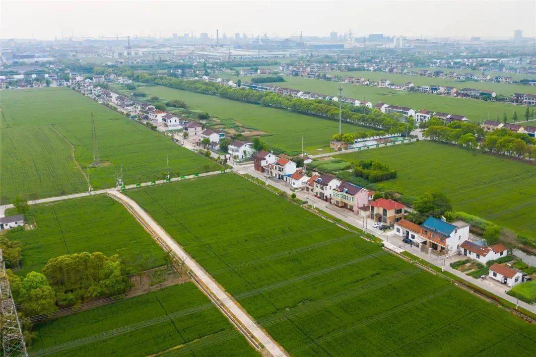 锦丰这个村,美哉!_建设村_乡村_群众