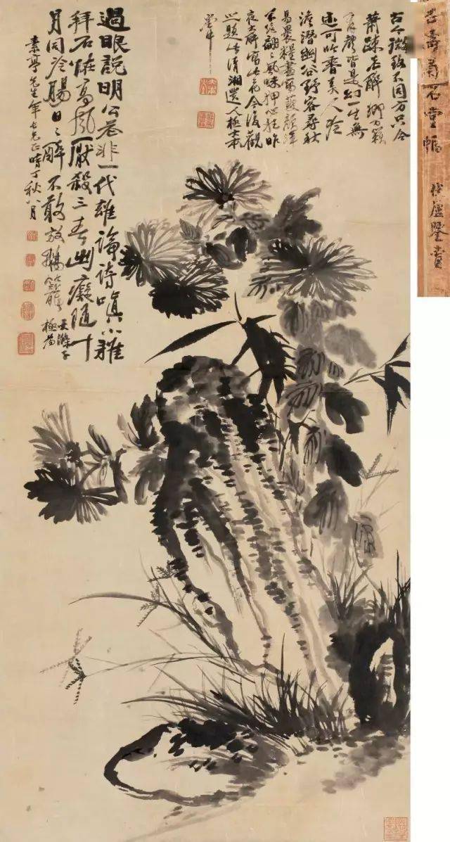 ����Ϻ��С�ʯ�Σ��ѡ��ࡱ���ڻ�����