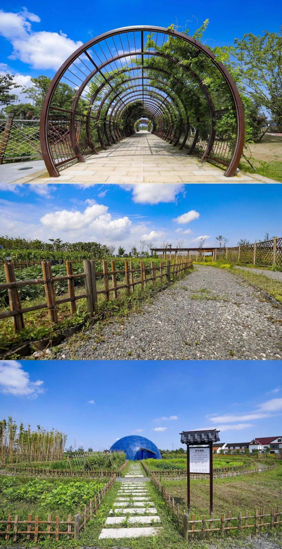 【干货】吕巷水果公园核心区最新游玩攻略!小伙伴们,约吗?