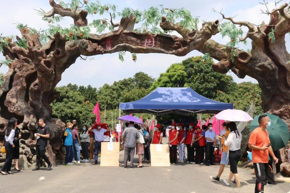 貢園位於高州根子鎮柏橋村嶺腰村,形成於隋唐年間,是目前全國種植面積