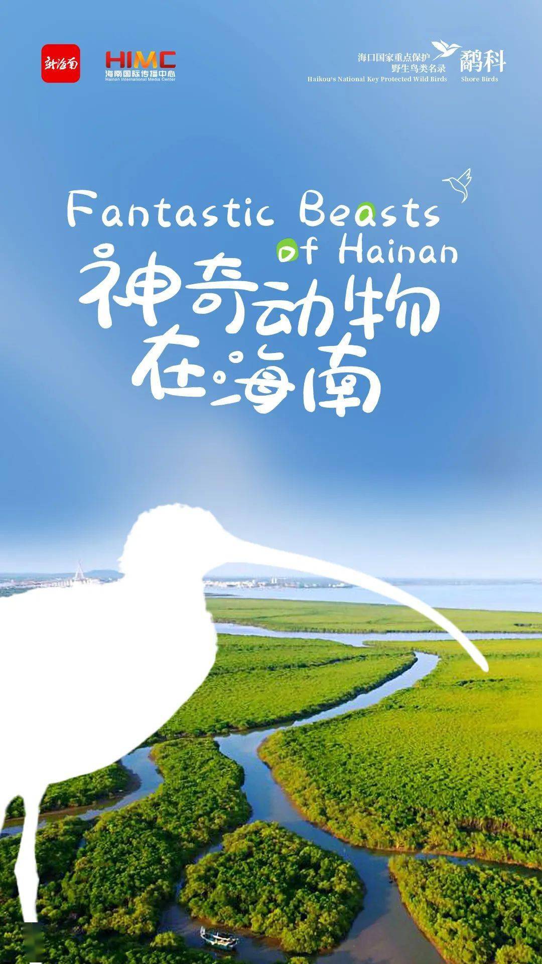 保护野生鸟类名录#神奇动物在海南#第4期推出双语海报新海南客户端