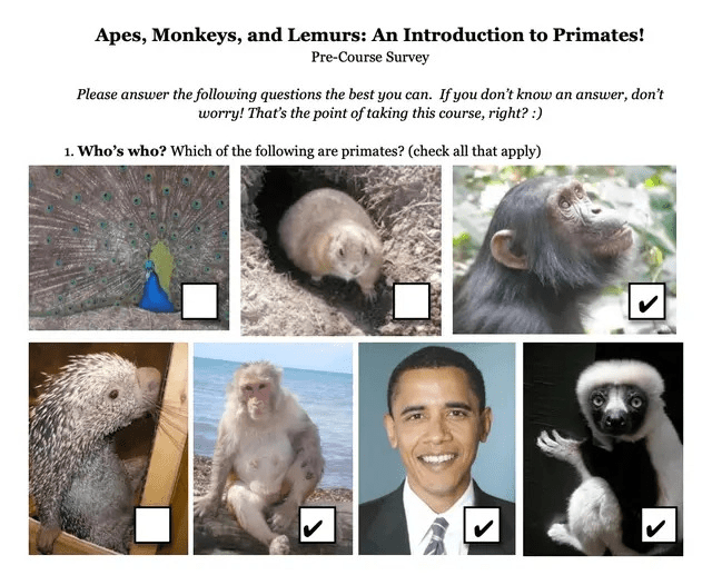 美国一老师教学生辨别灵长类动物，把奥巴马照片列入其中被停职