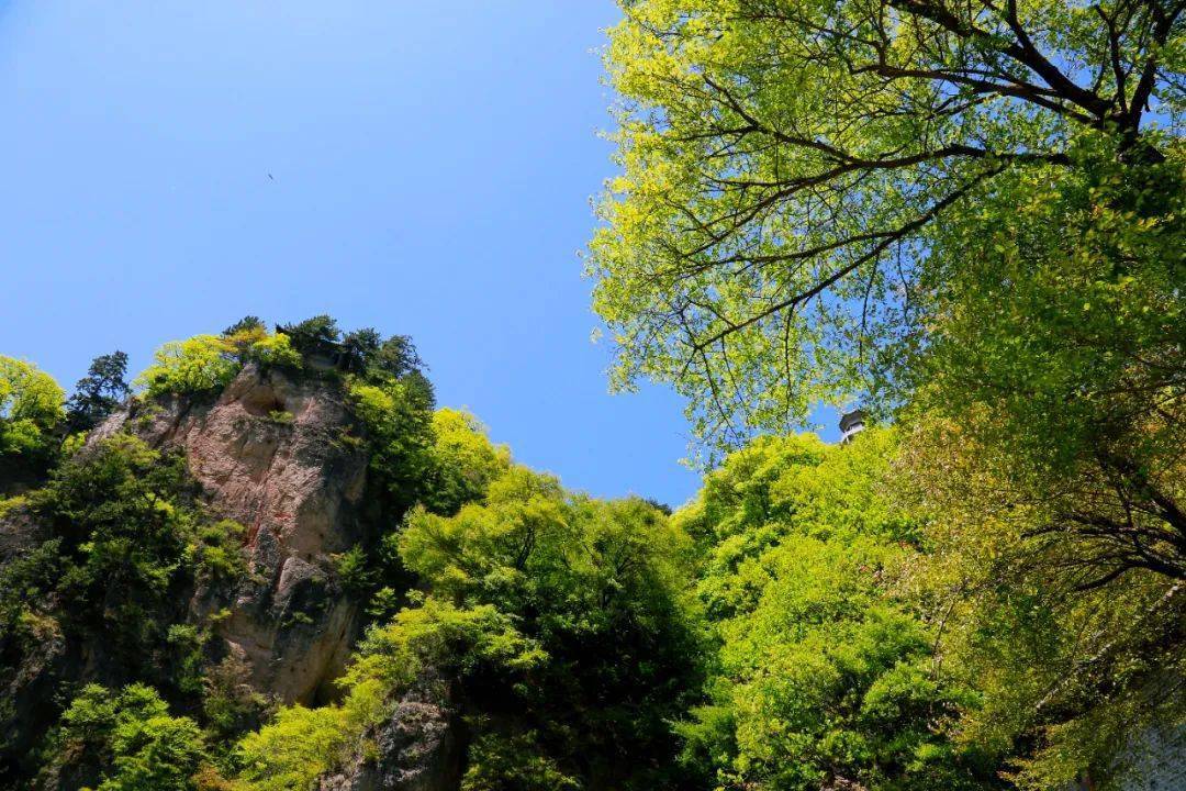 淺夏崆峒山 — 藍天白雲 萬物蓬勃_旅遊_雲海_滿山