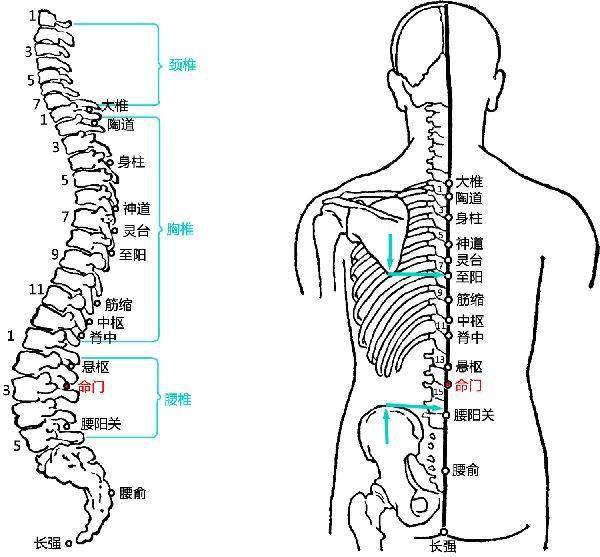 艾灸阿是穴膝关节痛调理方法超实用