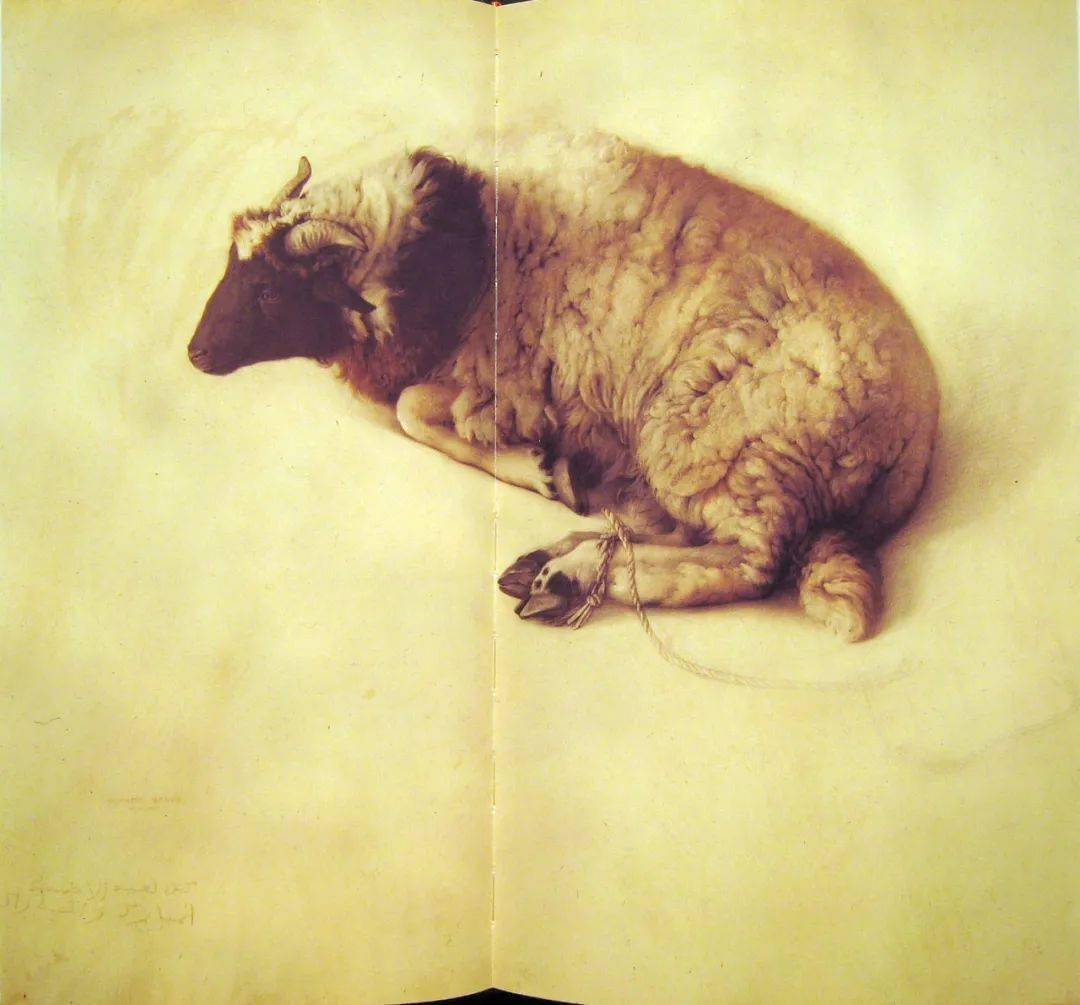 西班牙写实大师布雷沃素描精选