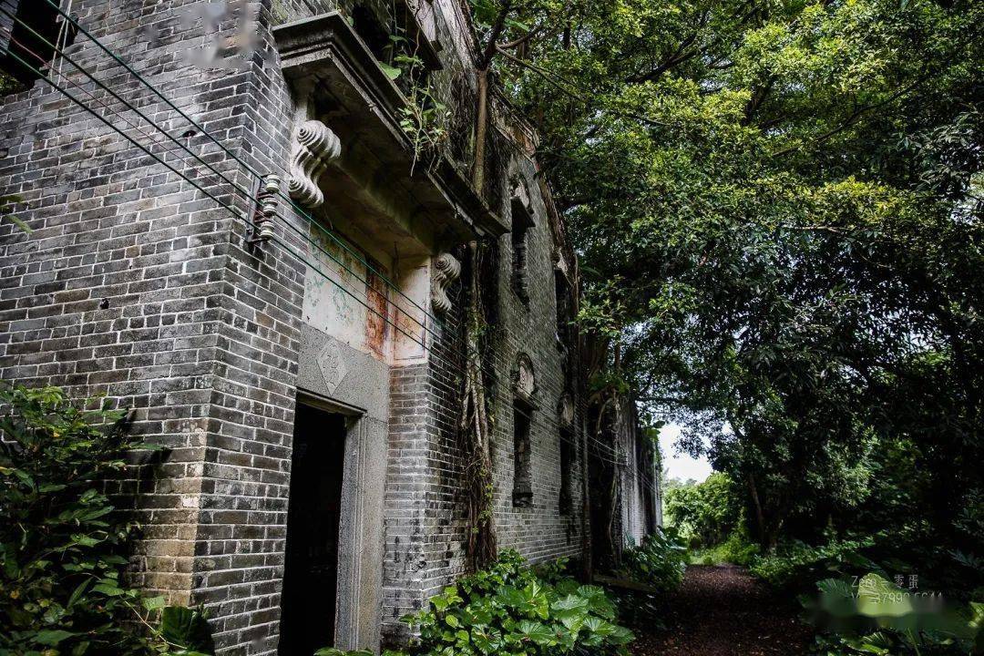 广东开平无人村