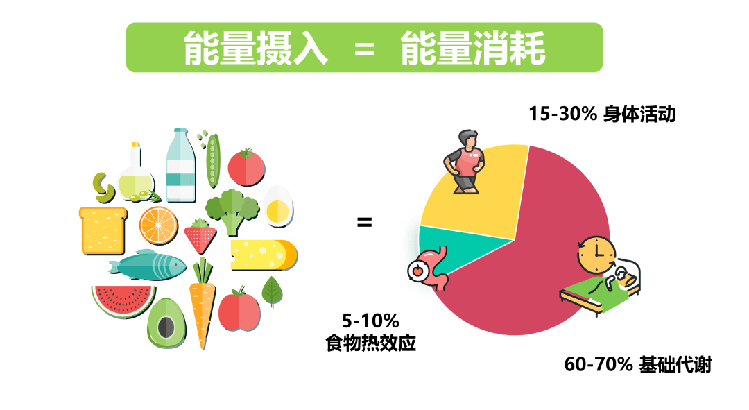 ▼身体活动是变化最大,可以自我调节的能量消耗.