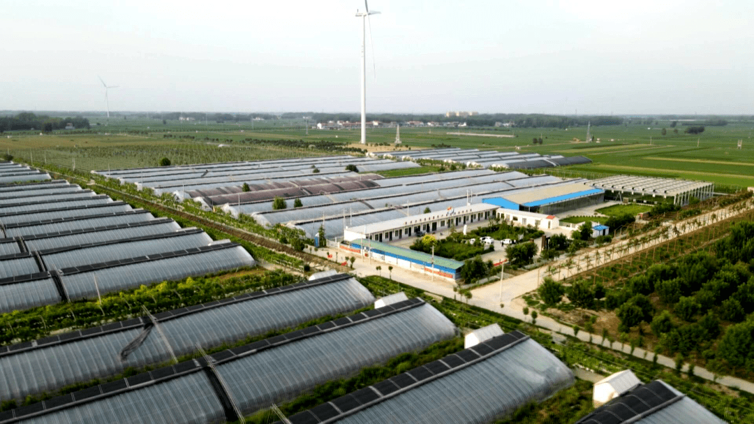我市三个基地入选山东省巾帼现代农业科技示范基地