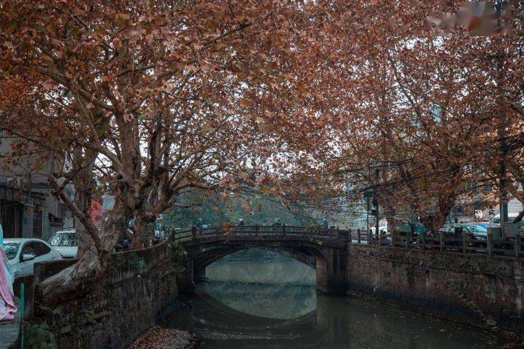 观文拾遗陈家桥上看三墩这座无数人记忆里的桥如今怎样了