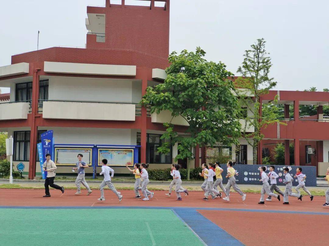 定海檀枫小学教育集团浙江海洋大学联手tds校教育周活动_见习_师范生