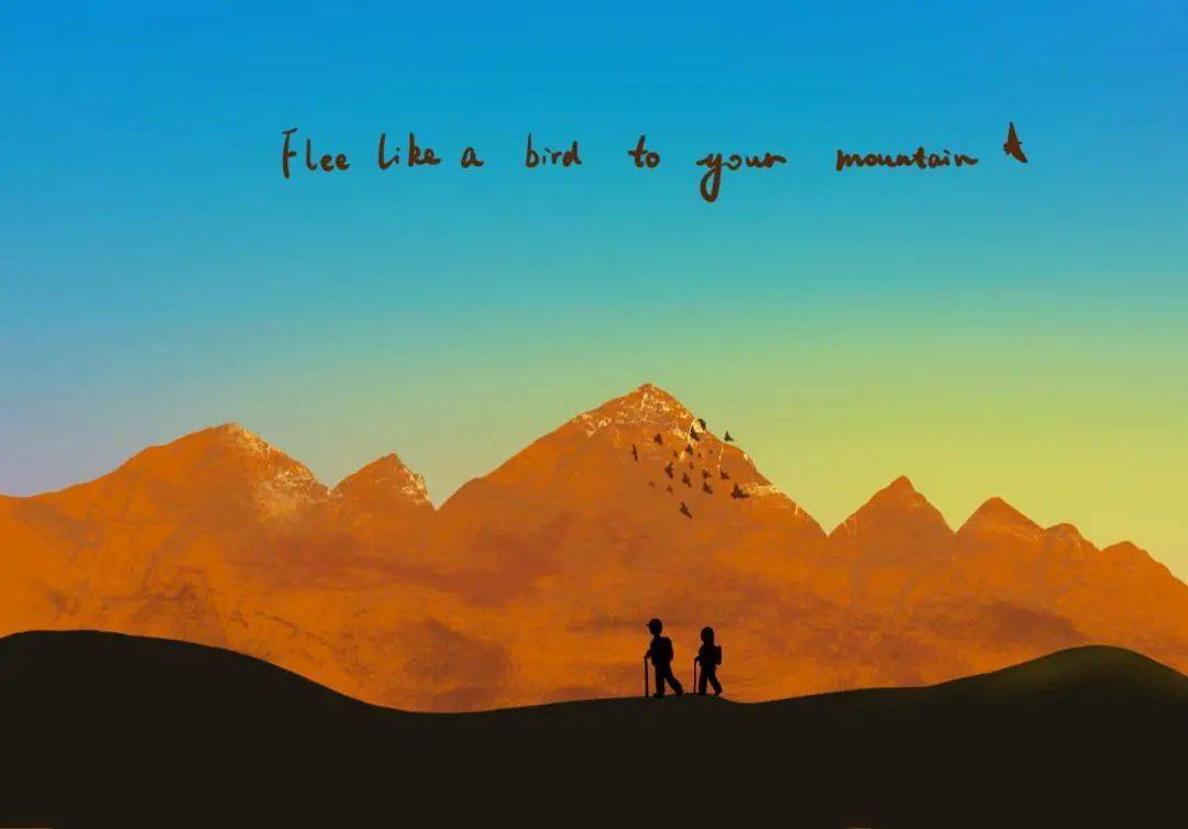 永远不要放弃真正的自己_塔拉·韦斯特弗_生活_肖恩