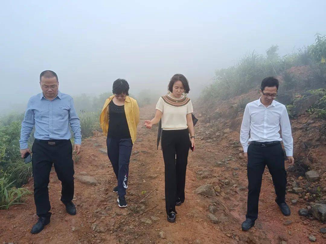 南安市领导带队到翔云镇开展调研指导
