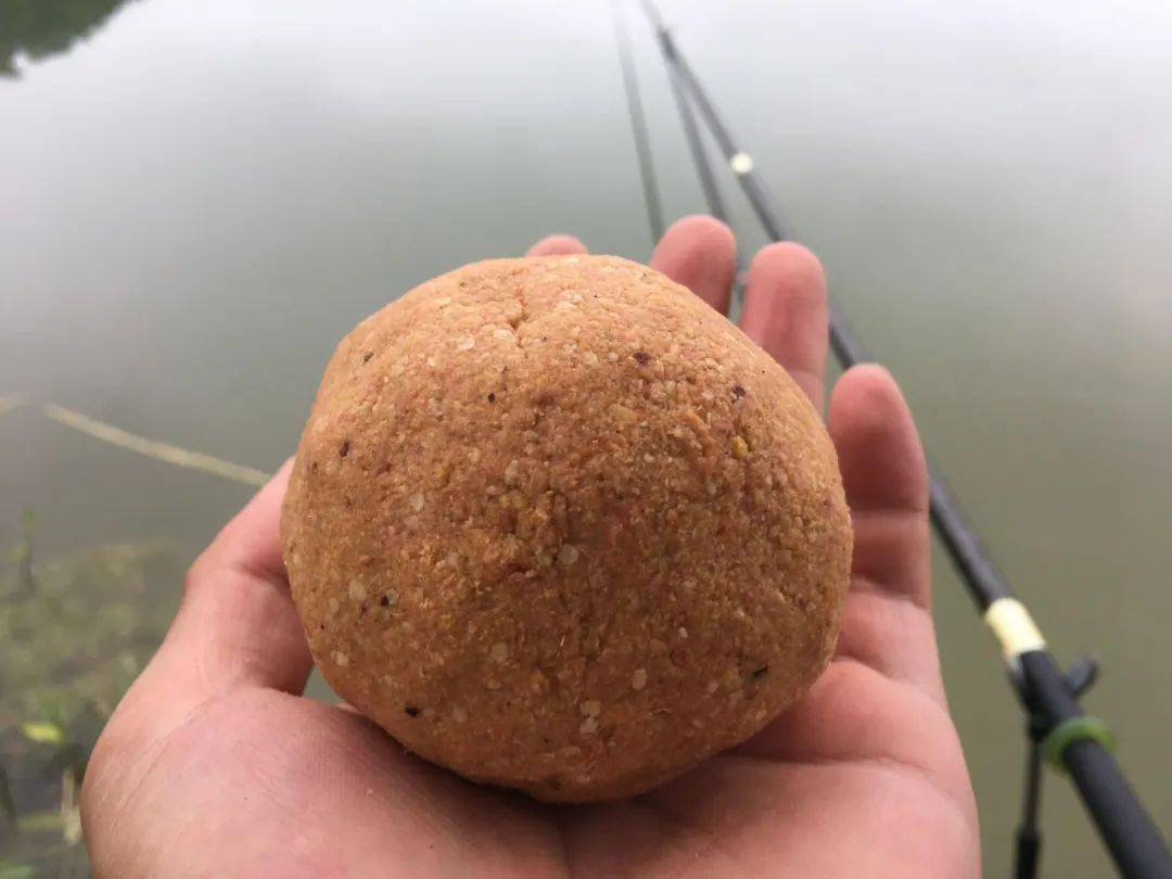 酒糟钓鱼的秘密它可是大鲤大草的最爱一旦进窝赶都赶不走