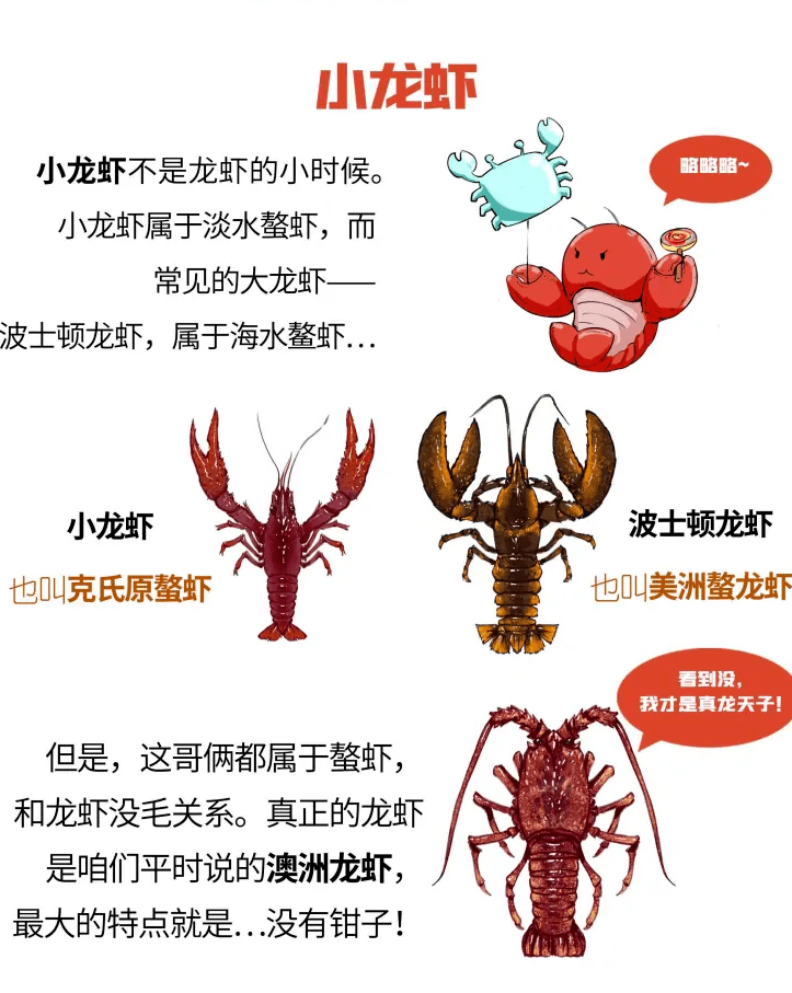 小龙虾才是夏天的浪漫但你吃对了吗