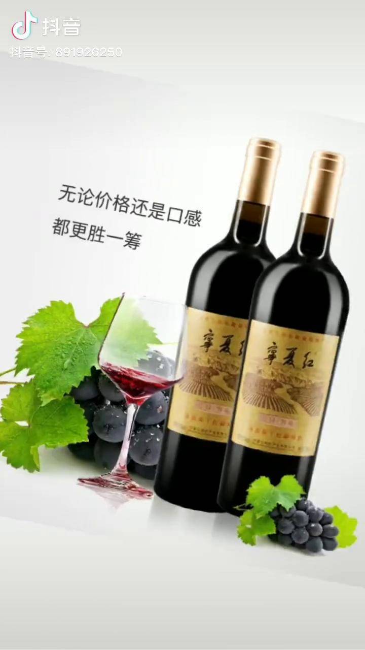 宁夏贺兰山东麓葡萄酒13度红酒宁夏红葡萄酒宁夏沙坡头干红葡萄酒好物