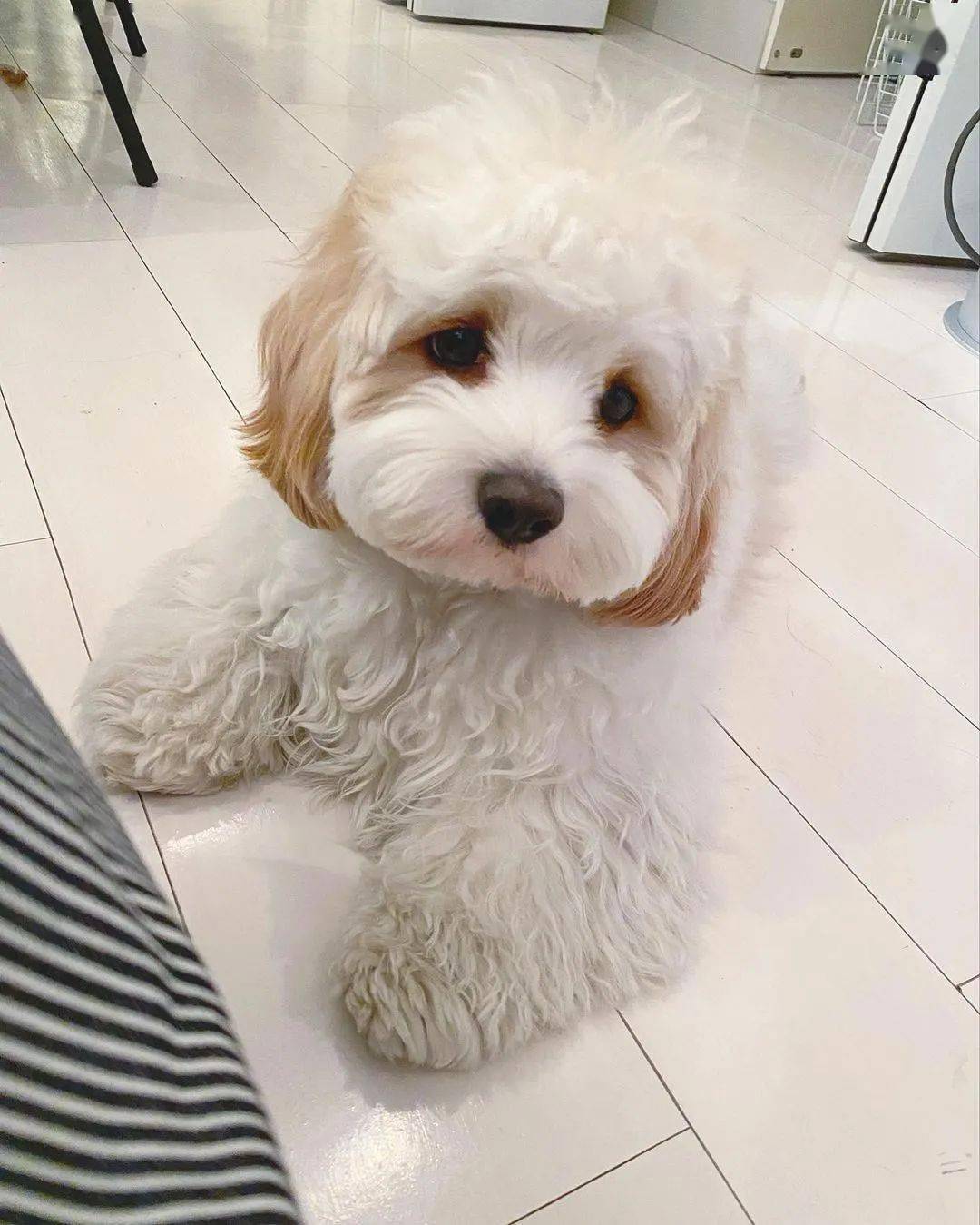 andy_样子_治愈