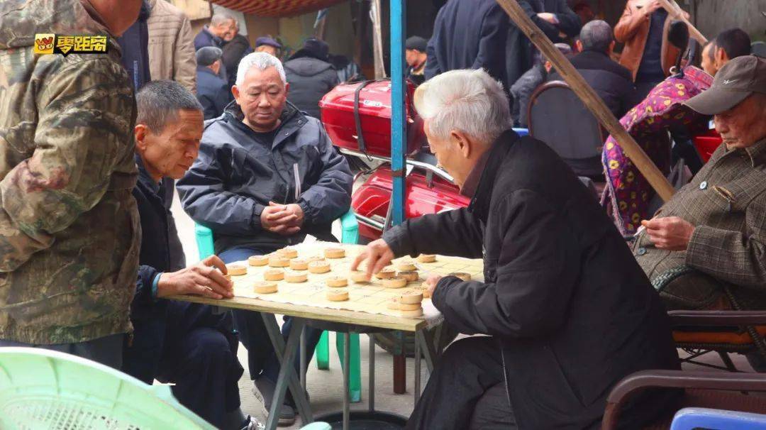 一大早就開始的熱鬧場景,喝茶,打牌,下棋……門庭若市,三五成群的老人