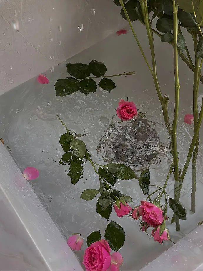 热门朋友圈背景图_背景图