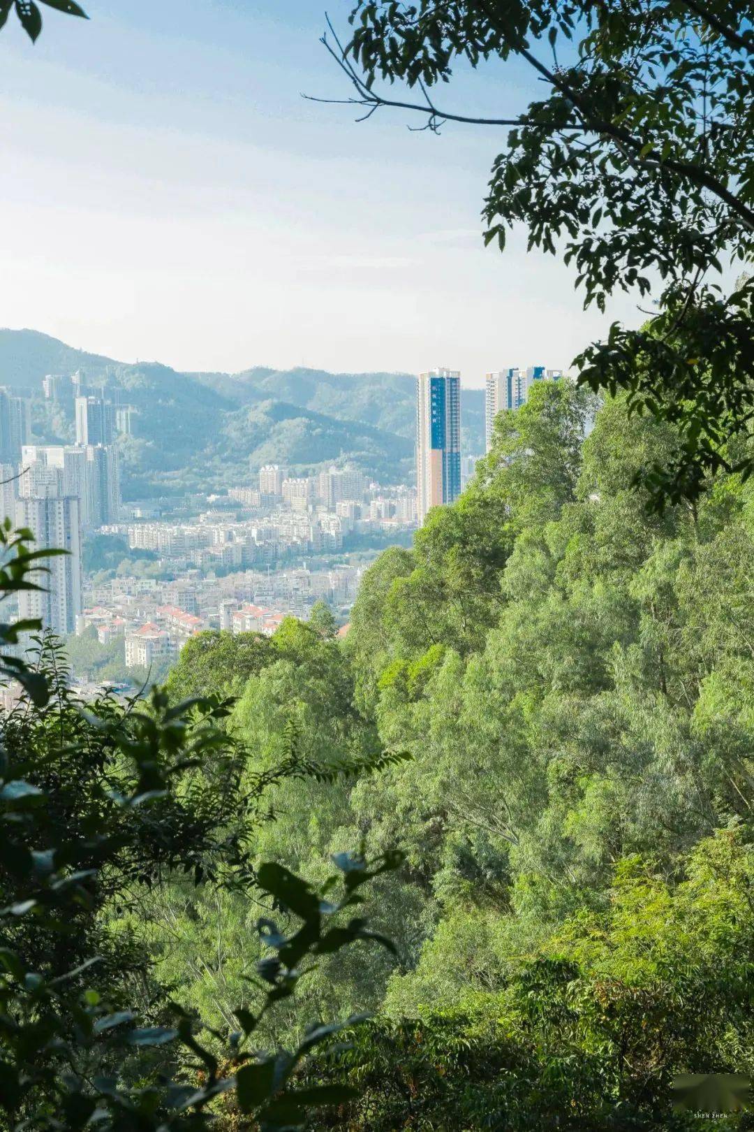 围岭公园里的山峰虽然整体都不高,但随处可见蜿蜒曲折,望不到尽头