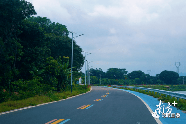 产业兴乡村美茂南打造荔枝乡村振兴新样板