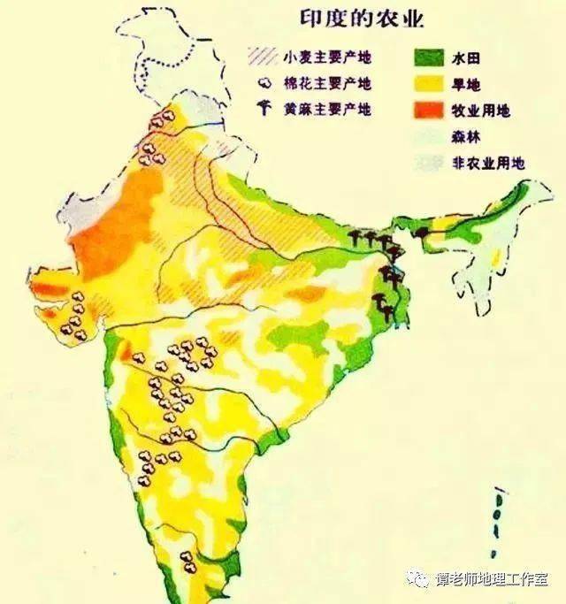 印度持续高温引发粮食危机地理视角看印度的区位条件