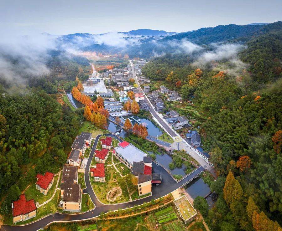 镜头下的将乐龙栖山到底有多美,进来看看_陈广程_范一彬_储志强