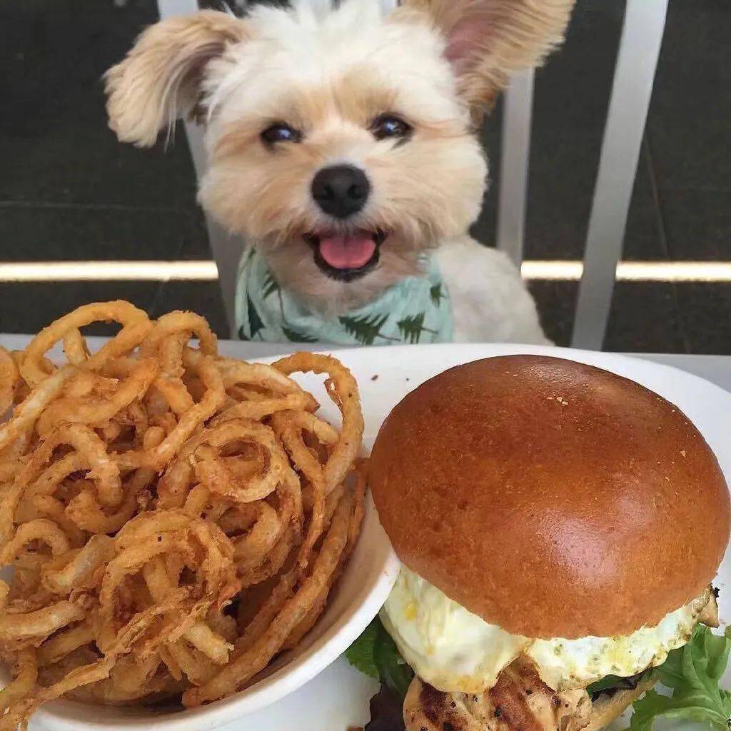 微信头像速度保存_开心_常在_干饭