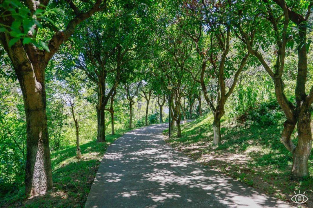 深圳5大小众登山地,极少人知道!_公园_岗山_宝安