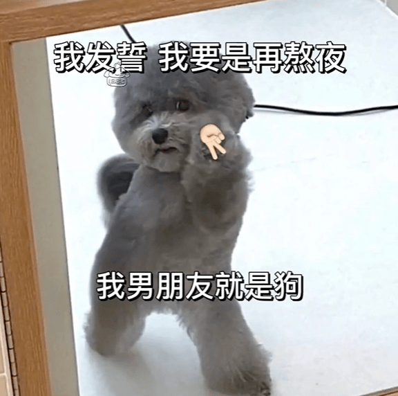 种习惯,不是一时兴起,这样将来你才可以有底气说,得到的从来不是男