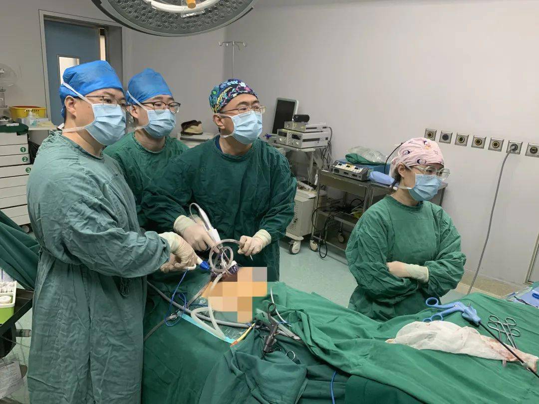北京友谊医院专家一天为两位肾移植患者精准切除复杂肿瘤
