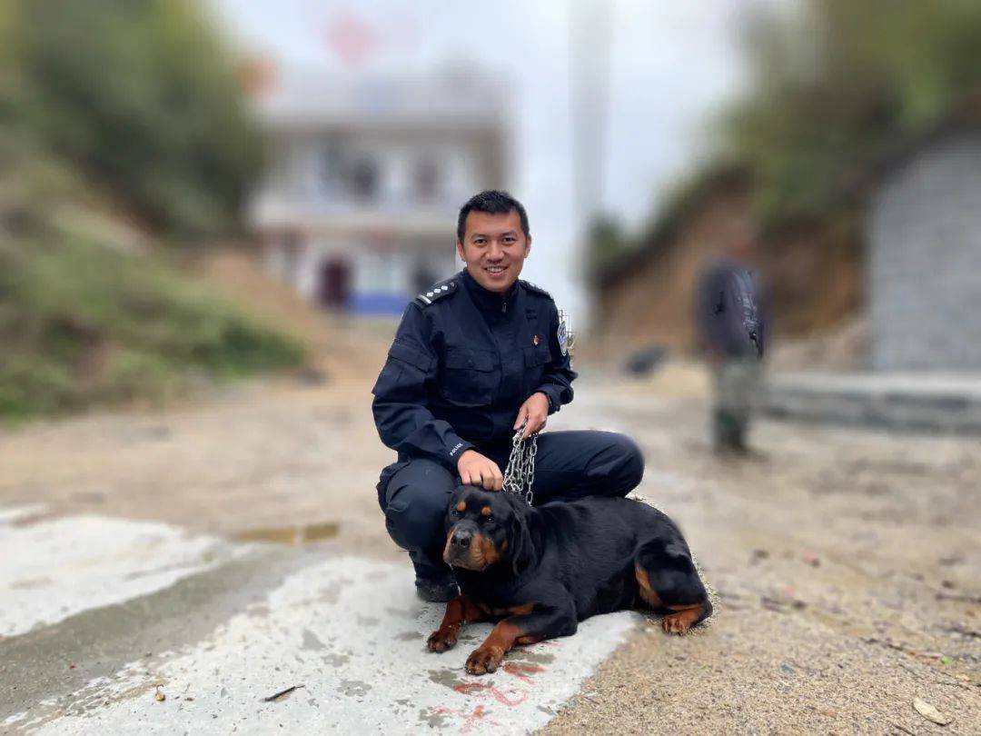 犬力以赴雲南41頭警犬為戍邊出征了