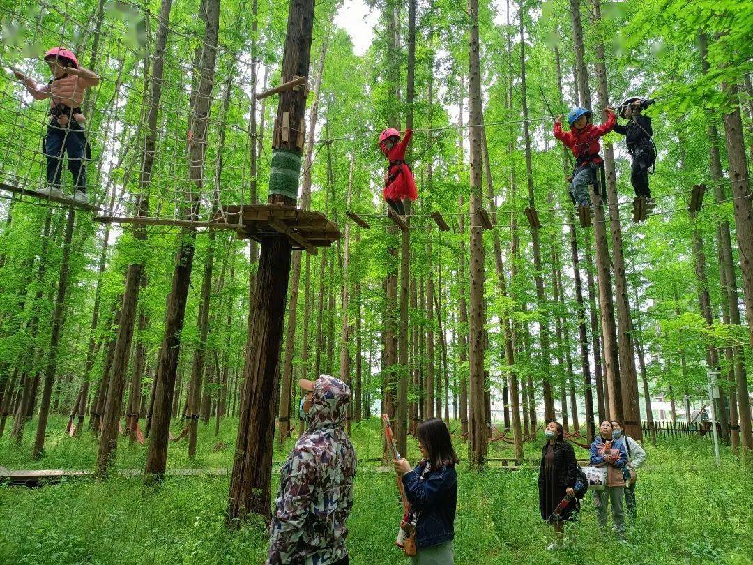 欢享六一趣玩金湖