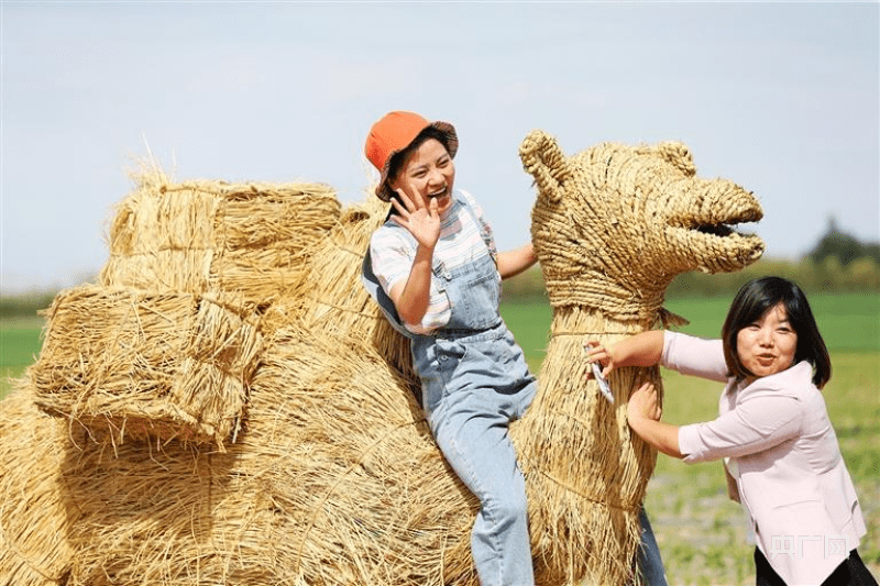 奇台县麦田公园：传播农耕文化