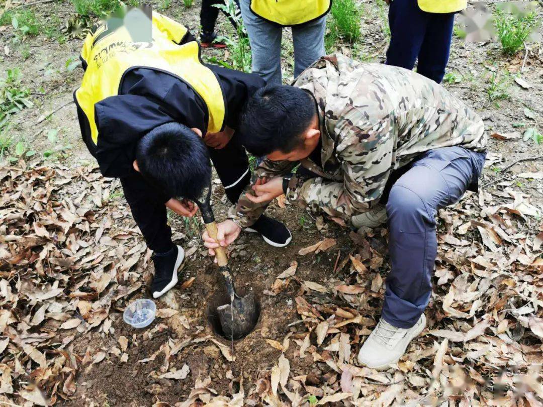 一起学习最基本的生存技能吧如何寻找在野外第一个需要找到的就是能
