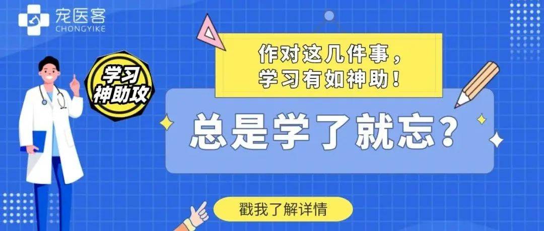 总是学了就忘？作对这几件事，学习有如神助！_进步_临床_系列