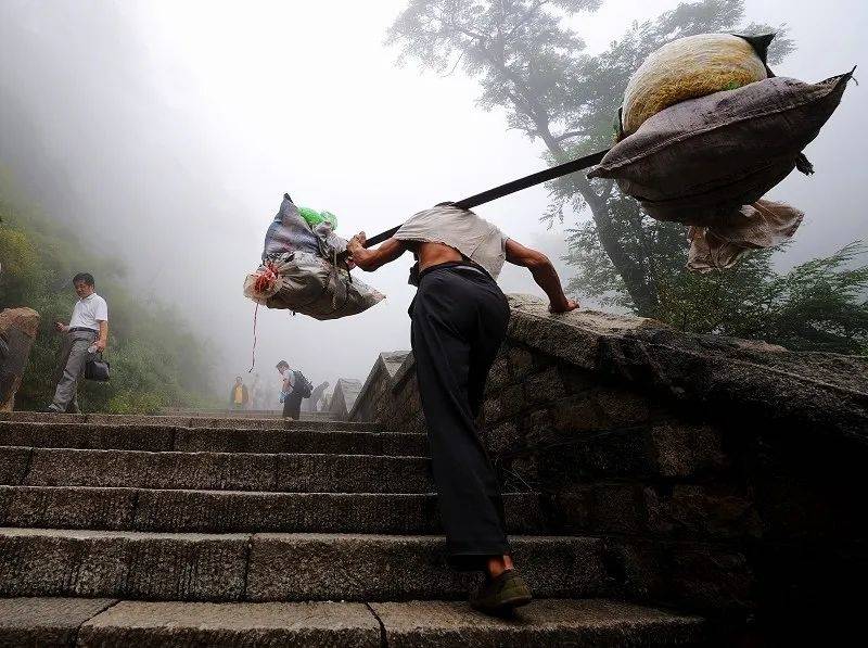 泰山挑山工照片图片