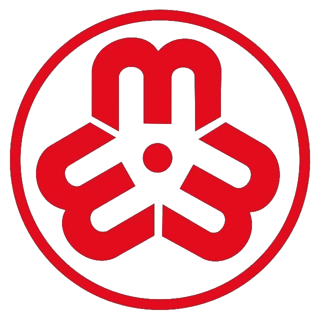 文明典范·巾帼有为丨南湖区巾帼志愿者扮靓城市,助力全国文明典范