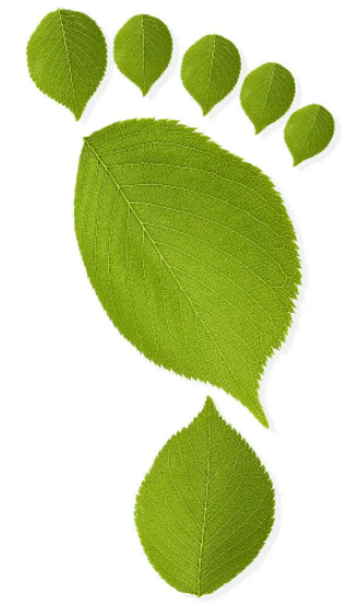 低碳青年说 | 看看我们衣橱里的碳足迹_排放_生活_二氧化碳