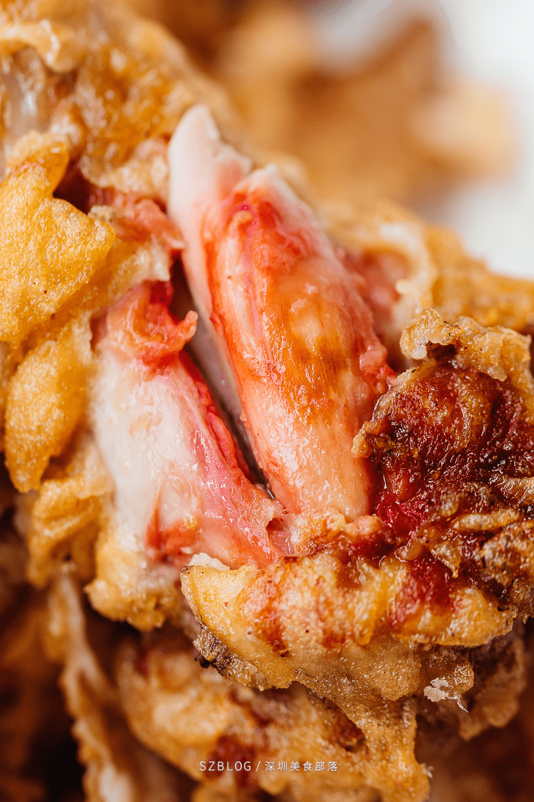 腐乳炸鸡翅怎么又是潮汕人开的