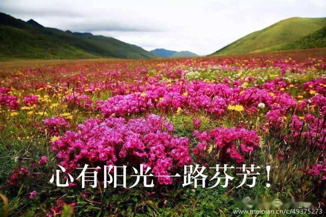 河南南阳赵延龄诗歌心有阳光便是天堂第1697期图文2