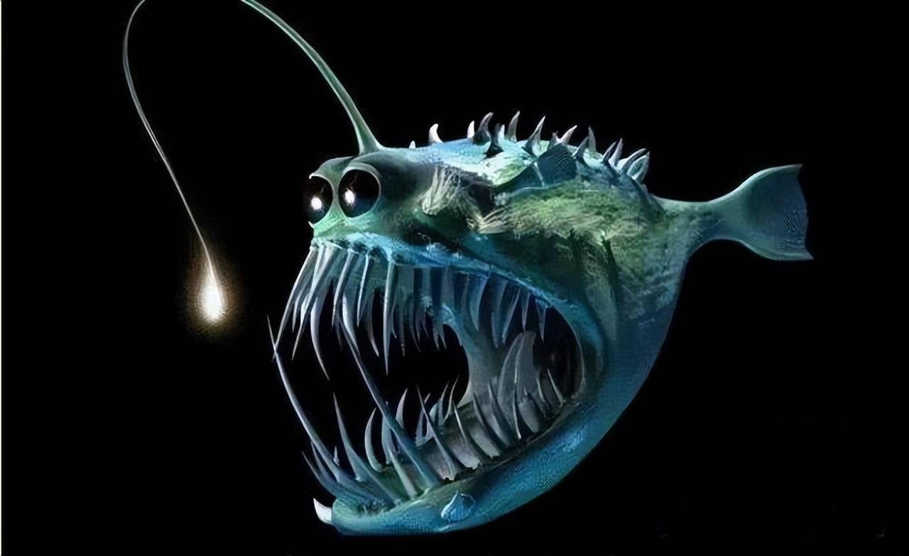 进化出应对天敌的策略,那就是会迅速将那个发光的"小灯笼"塞到嘴巴里