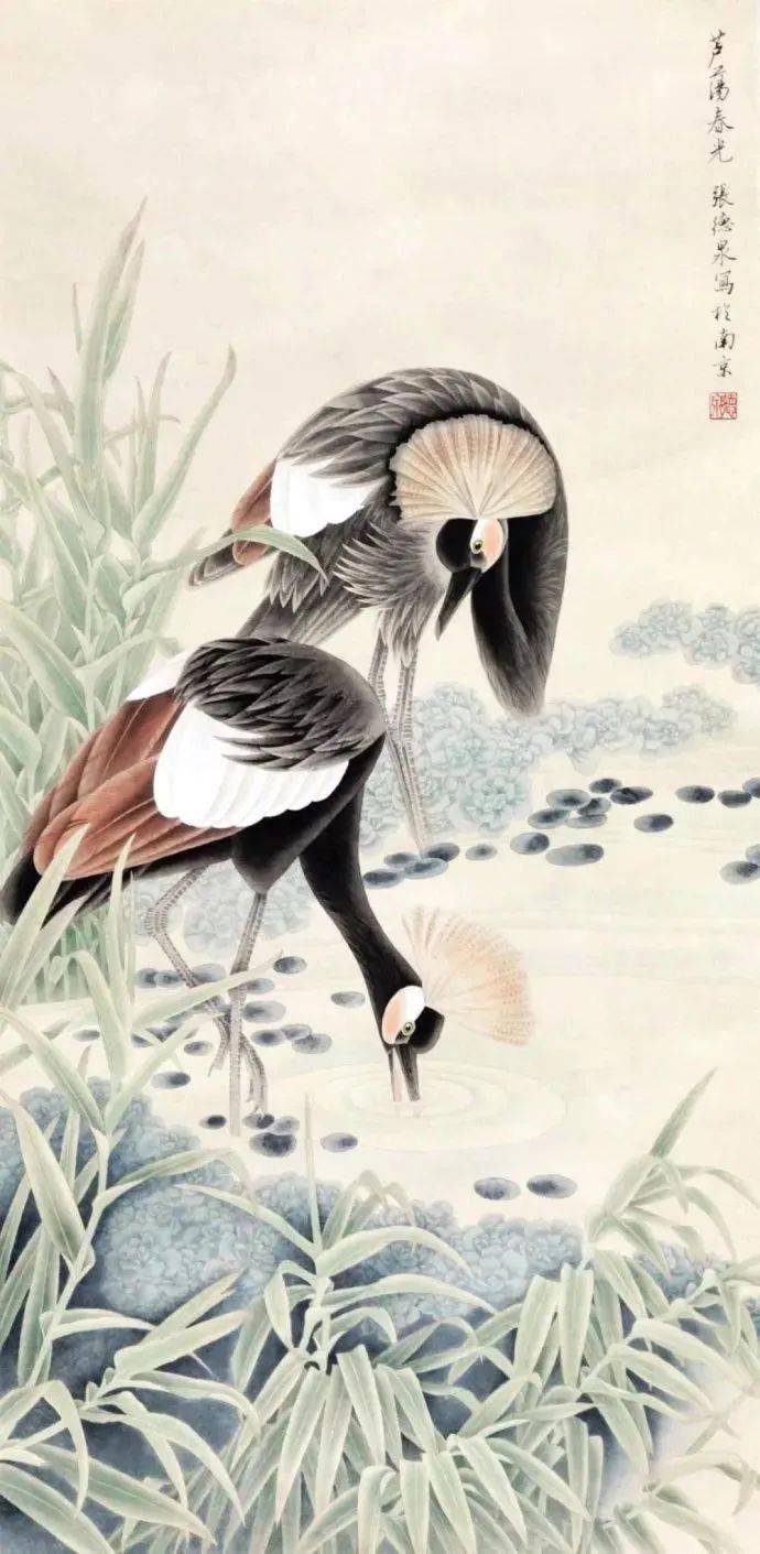 工笔花鸟画名家张德泉,清新高雅,风格鲜明!_江苏_作品_白描
